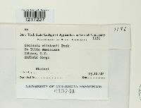 Uncinula clintonii image