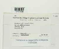 Uncinula clintonii image