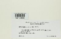 Image Associated With the Occurrence