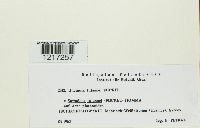 Image Associated With the Occurrence