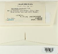 Image Associated With the Occurrence