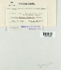 Image Associated With the Occurrence