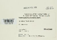 Image Associated With the Occurrence