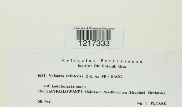 Valsaria rubricosa image