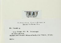 Image Associated With the Occurrence