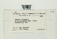 Venturia inaequalis image