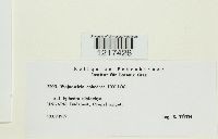 Image Associated With the Occurrence