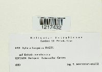 Image Associated With the Occurrence