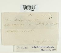 Image Associated With the Occurrence