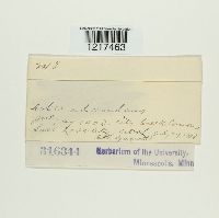 Image Associated With the Occurrence