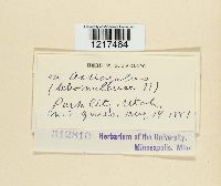 Image Associated With the Occurrence