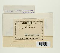 Image Associated With the Occurrence