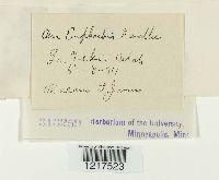 Image Associated With the Occurrence