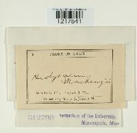 Image Associated With the Occurrence