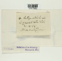 Image Associated With the Occurrence