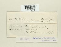 Image Associated With the Occurrence