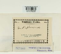 Image Associated With the Occurrence