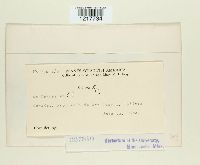 Image Associated With the Occurrence