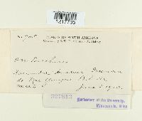 Image Associated With the Occurrence