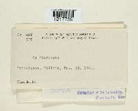 Image Associated With the Occurrence