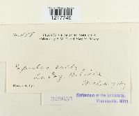 Image Associated With the Occurrence