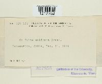 Image Associated With the Occurrence