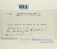 Image Associated With the Occurrence