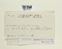 Image Associated With the Occurrence