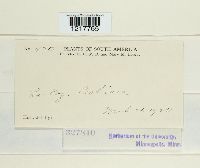 Image Associated With the Occurrence