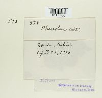 Image Associated With the Occurrence