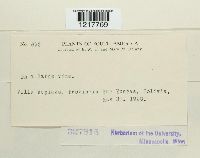 Image Associated With the Occurrence