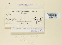 Image Associated With the Occurrence