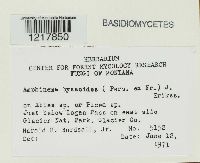 Image Associated With the Occurrence