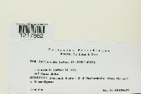 Image Associated With the Occurrence