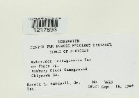 Image Associated With the Occurrence