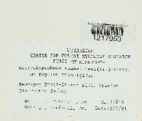 Image Associated With the Occurrence