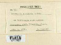 Image Associated With the Occurrence