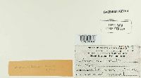 thumbnail image of current specimen