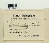 Image Associated With the Occurrence