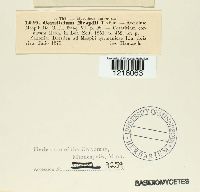 Image Associated With the Occurrence