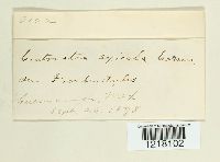 Image Associated With the Occurrence