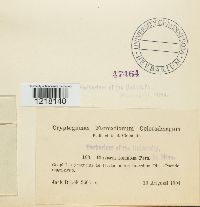 Image Associated With the Occurrence