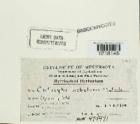 Image Associated With the Occurrence