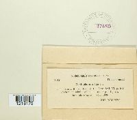 Media resource of Coniophora arida