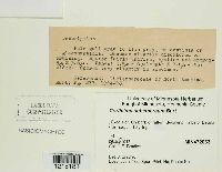 Media resource of Corticium subcinereum