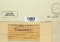 Image Associated With the Occurrence