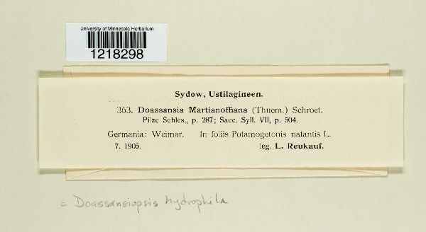 Doassansiopsis hydrophila image