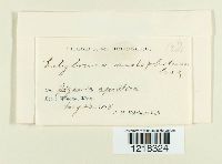 Image Associated With the Occurrence