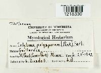 Image Associated With the Occurrence