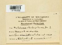 thumbnail image of current specimen